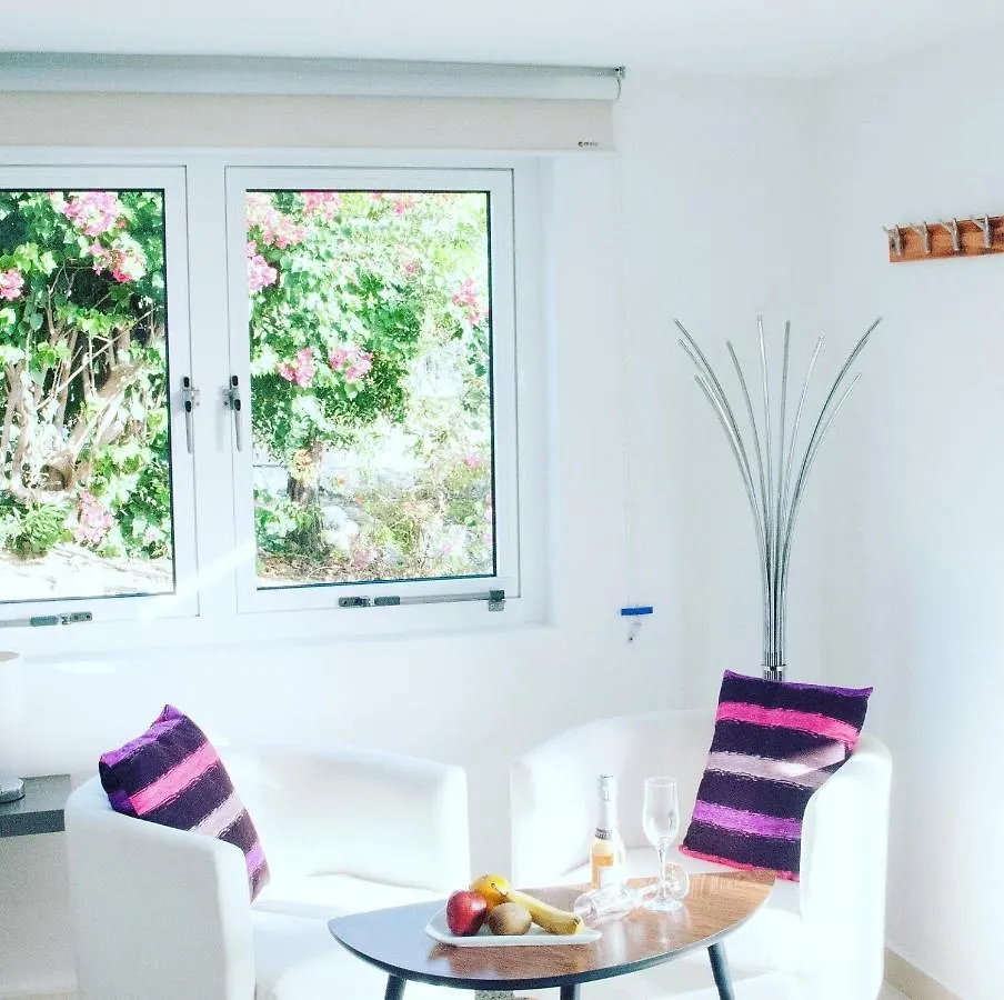 Vip Caribbean Views 300 Meters To The Coral Estate Beach Willibrordus 0*,  كوراساو